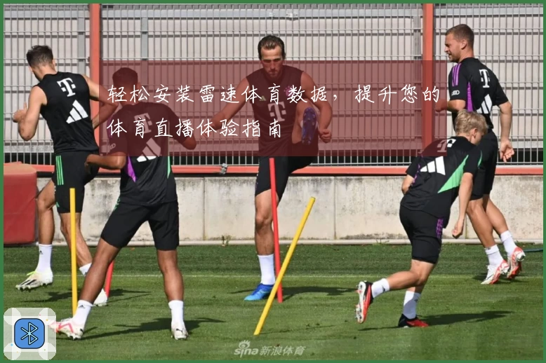 轻松安装雷速体育数据,提升您的体育直播体验指南